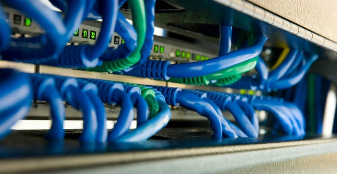 Patch cables plugged in to ethernet swicth
