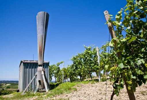 Hail cannon in Italian vineyard, Monferrato and Langhe area, Piemonte region.