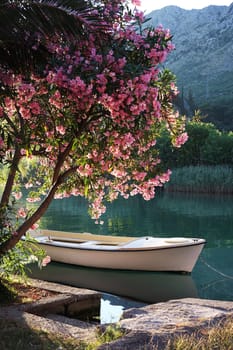 Boat on Ombla river near Rozat, Croatia