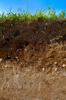 A cut of soil with different layers visible