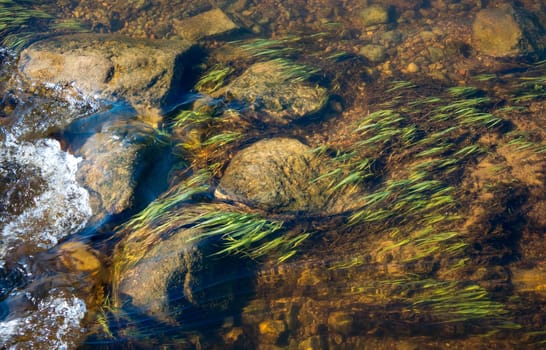Rocks under water with a flow of the river