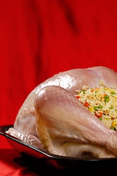 Prepared for cooking stuffed turkey in a baking tray