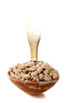 White beans in a wooden spoon islated on a white background.