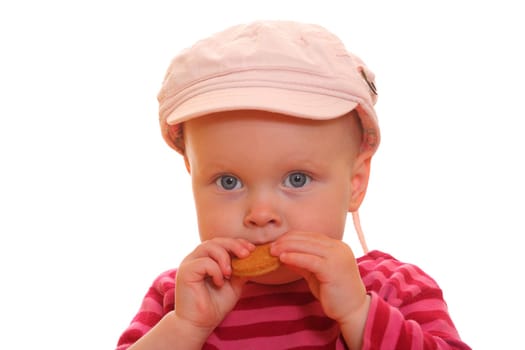 Portrait of a toddler eating a cookie on white background