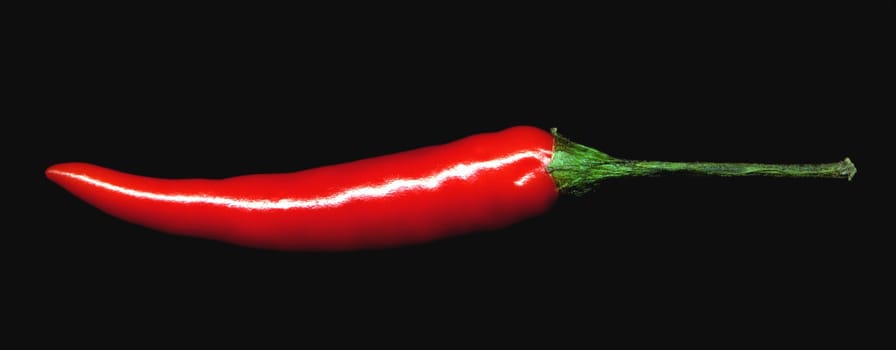 red chili pepper on black background