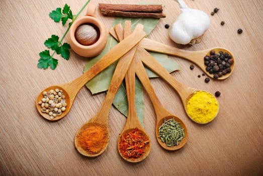 Various of spices in wooden spoon