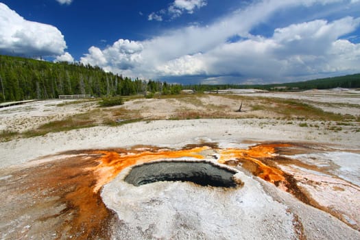 Beautiful colors of Ear Spring in Yellowstone National Park of Wyoming.
