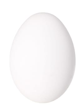 Only single white bird egg. Isolated on white background. Close-up. Studio photography.
