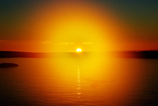 Bird fly in the background of a beautiful sunset. Antarctica