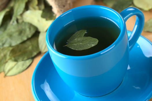 Popular Peruvian herbal tea made of dried coca (lat. Erythroxylum coca) leaves (Selective Focus, Focus on the lower edge of the front leaf on the top of the tea)
