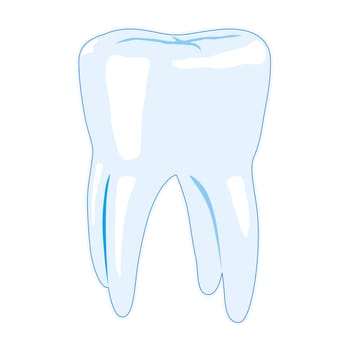 Tooth vector illustration isolated on white background
