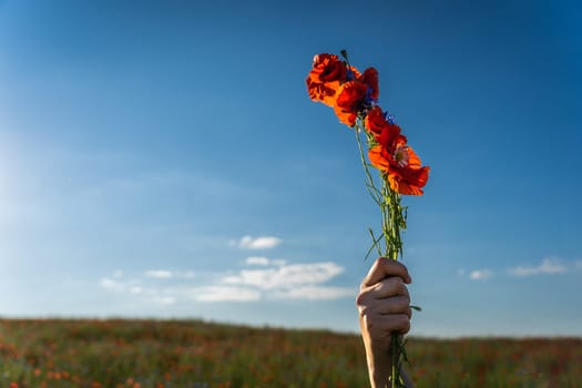 A woman's hand holds a woven bundle of red field poppies in a field against a blue sky.