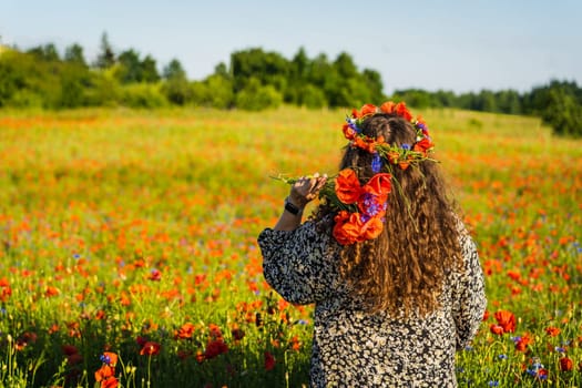 A long-haired curly woman plus size stands among a poppy meadow in a wreath of poppies and cornflowers and holds a bunch of poppies