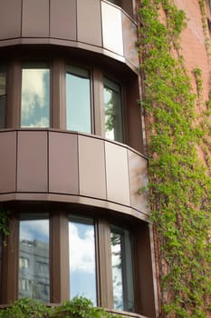 Ivy on the wall of the house. Comfortable accommodation with comfortable balconies. Ivy in the decoration of the building.