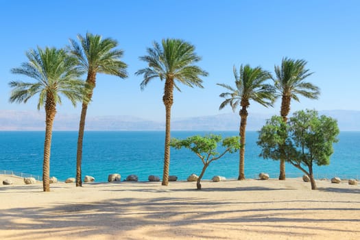 Vivid bright and vibrant saturated scenery of Dead Sea with palm trees on sunshine coast