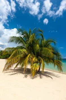 Beach on the tropical island. Clear blue water, sand and palms. Beautiful vacation spot.