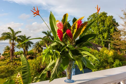 A beautiful tropical red ginger and hibiscus flowers. Jamaica