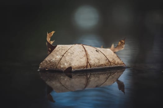 Vertical closeup shot of Autumn leaf in quiet water with reflections and blurry background. Beauty in nature.