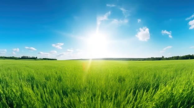 This 8k resolution photo captures the stunning beauty of nature in a panoramic view. A vast green field with lush grass and wildflowers is set against a clear blue sky with the sun shining bright. The soft focus of the blurred background enhances the peaceful and calming atmosphere of this breathtaking landscape. Perfect for use as a desktop wallpaper or as a backdrop for meditation.