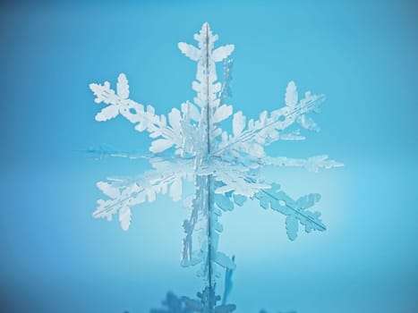 Snowflake standing on blue reflective surface. 3D illustration.