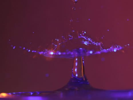 Drop of water colliding when it bounces and forming a palm tree