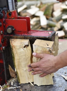 Workers at the log splitter