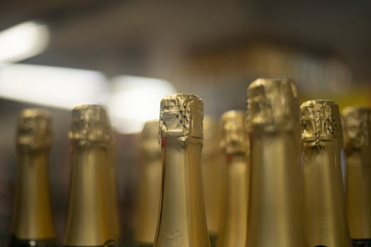 Champagne stands in row. Champagne bottles. Gold foil on alcohol. Sale of beverages.