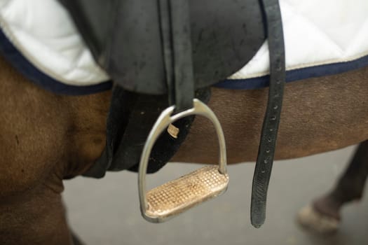 Saddle on horseback. Horse in detail. Steel foot stirrups. Equipment for rider.