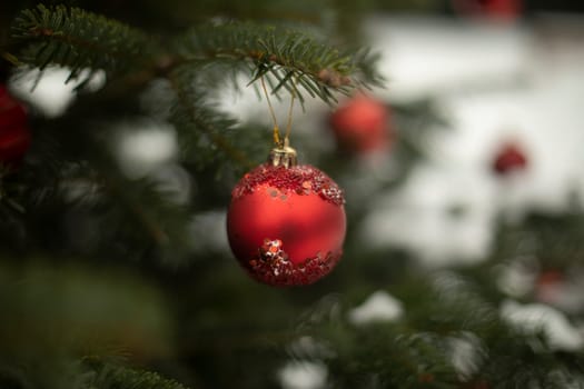 Red balls on spruce. Decoration for new year. Festive mood in winter. Red garland.