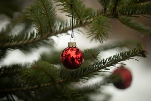 Red balls on Christmas tree. Decoration for Christmas. Christmas tree toys on spruce branches. Balls on strings.