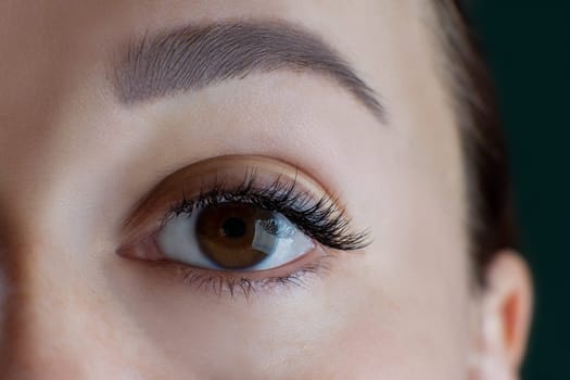 Close-up of brown eye with amazing long eyelashes, black eyeliner, healthy skin, eyebrow of unrecognizable young woman looking at camera. Macro. Eyelash extension, beauty procedures, cosmetology.