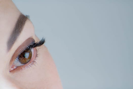 Close-up of brown eye with long false eyelashes, ideal skin, flawless eyebrow of unrecognizable young woman on grey background. Macro shot. Eyelash extension, beauty procedures, cosmetology, make-up.