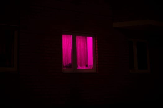 Rose window at night. Pink light in house. Bright color.