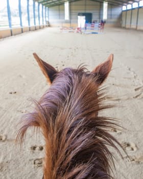 Horse training at indoor obstacles course. Scene viewed from horseback