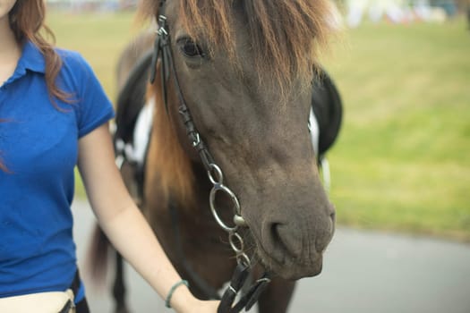 Girl with horse. Horse in park. Reins at horse. Rider holding horse.
