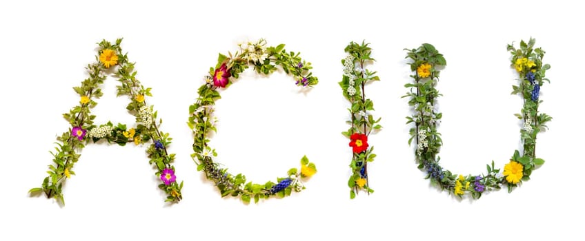 Colorful Flowers Building Lithuanian Text Aciu, Means Thank You in English, Some Green And Some Spring Flowers on Isolated White Background, Symbolic Meaning, Quote