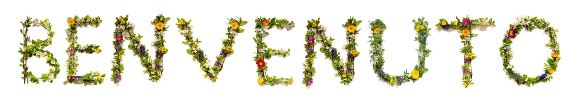 Colorful Flowers Building Italian Text Benvenuto, Means Welcome in English, Some Green And Some Spring Flowers on Isolated White Background, Symbolic Meaning, Quote