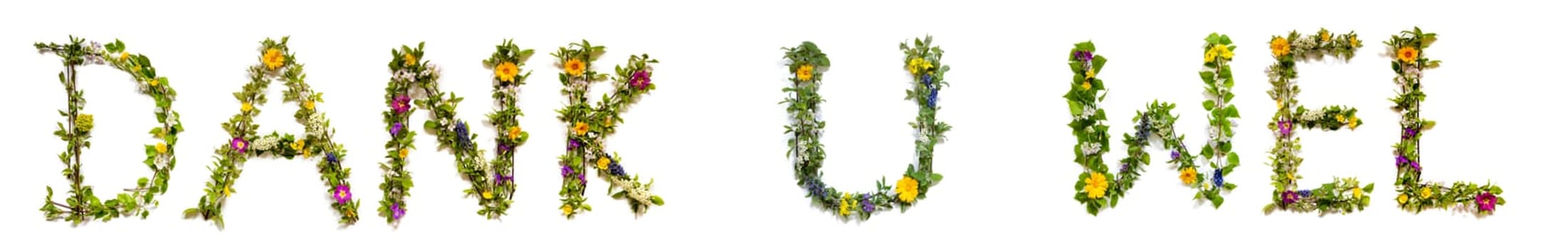Colorful Flowers Building Dutch Text Dank U Wel, Means Thank You in English, Some Green And Some Spring Flowers on Isolated White Background, Symbolic Meaning, Quote