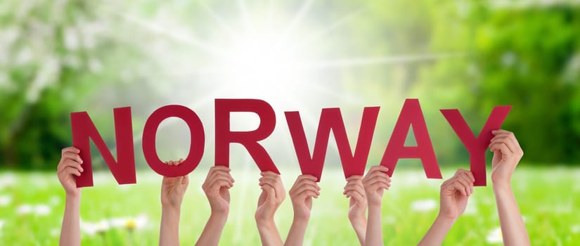 People Or Persons Hands Building English Word Norway. Sunny Green Grass Meadow As Background.
