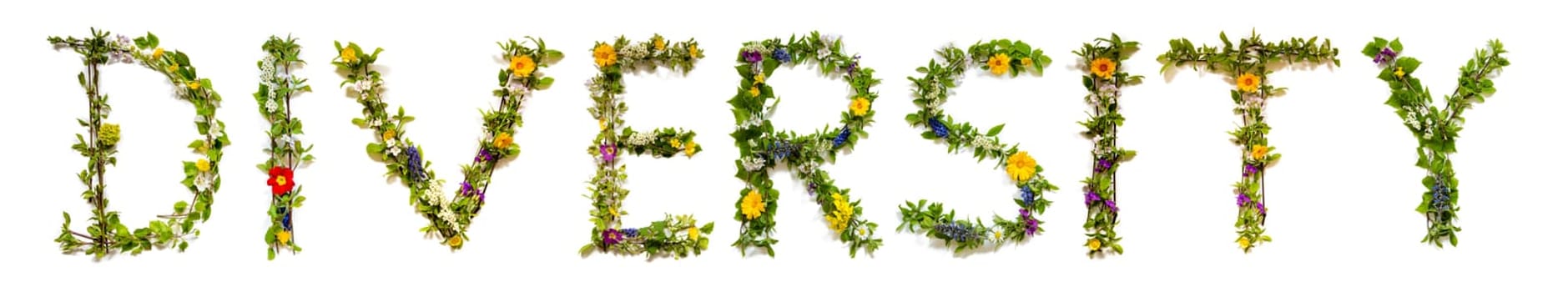 Colorful Flowers Building English Text Diversity, Some Green And Some Spring Flowers on Isolated White Background, Symbolic Meaning, Quote