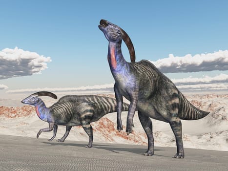 Computer generated 3D illustration with the dinosaur Parasaurolophus in a desert landscape