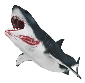 Computer generated 3D illustration with a great white isolated on white background