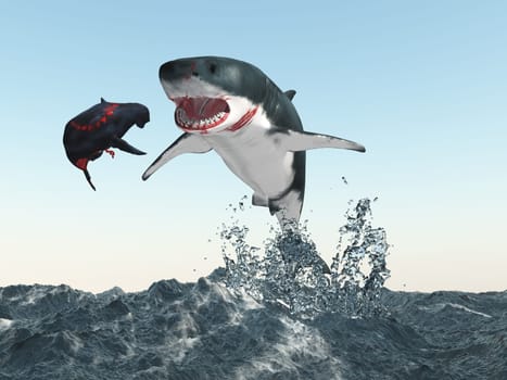 Computer generated 3D illustration with great white shark and seal in the open sea