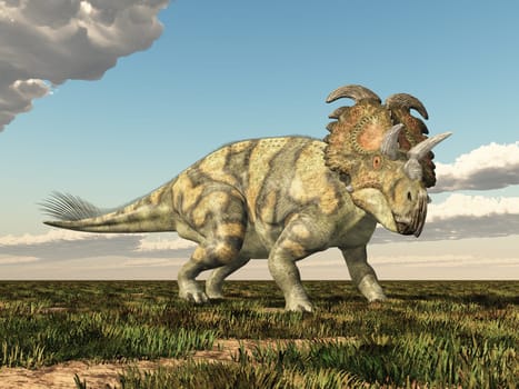 Computer generated 3D illustration with the dinosaur Albertaceratops