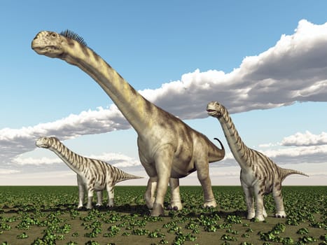 Computer generated 3D illustration with the dinosaur Camarasaurus
