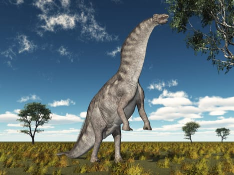 Computer generated 3D illustration with the dinosaur Amargasaurus in a landscape