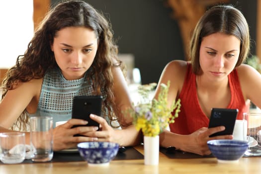 Front view of two friends in a restaurant ignoring each other using their phones