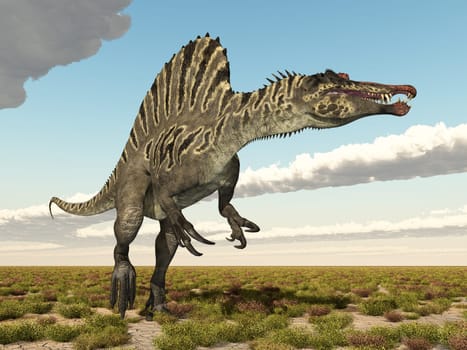 Computer generated 3D illustration with the dinosaur Spinosaurus in a landscape