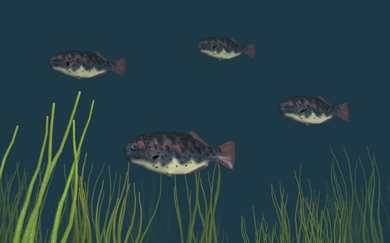 Computer generated 3D illustration with fish and underwater plants