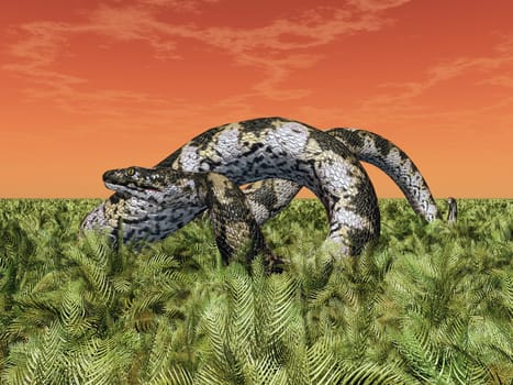 Computer generated 3D illustration with the prehistoric giant snake Titanoboa